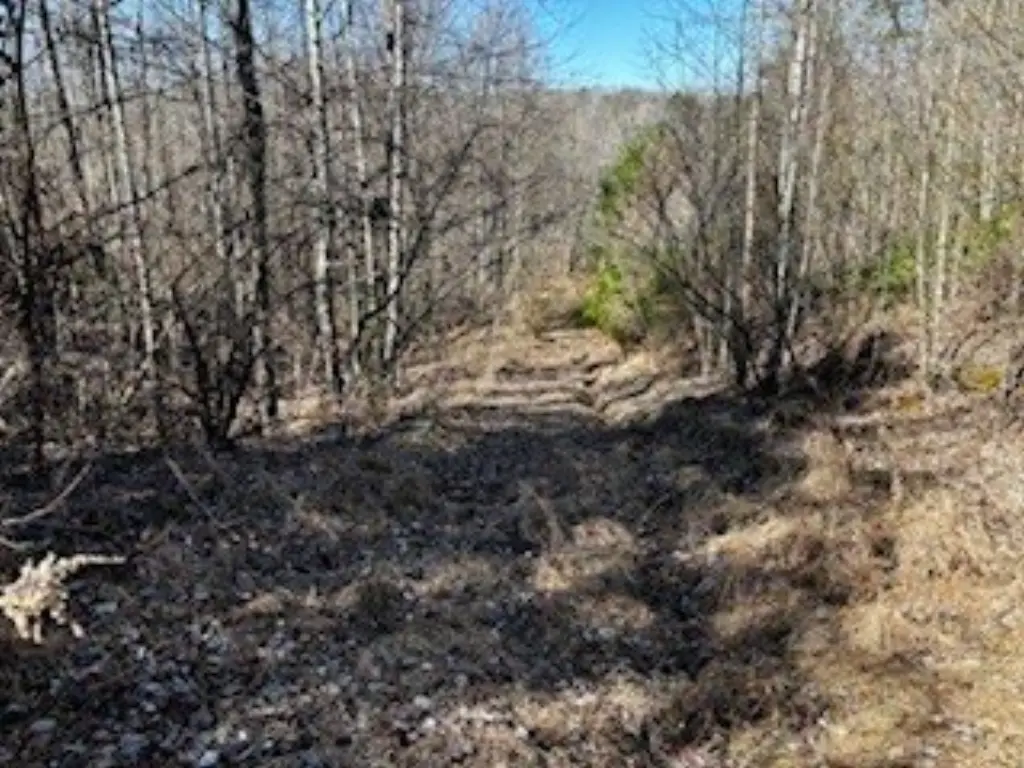 Picture 2