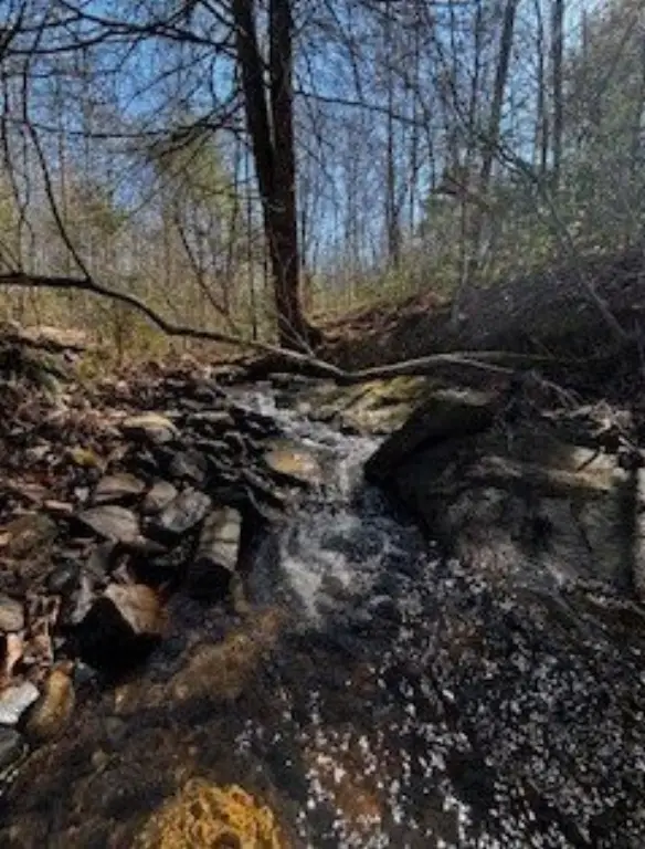 Picture 11