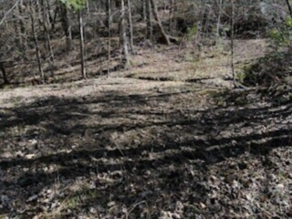 Picture 19