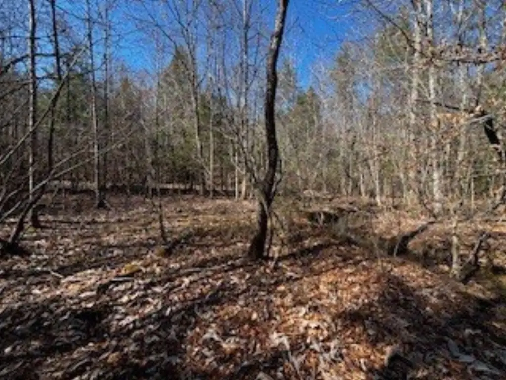 Picture 14