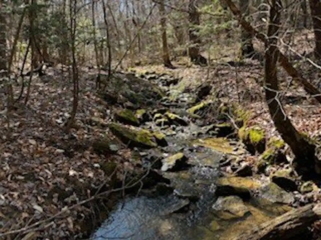 Picture 15
