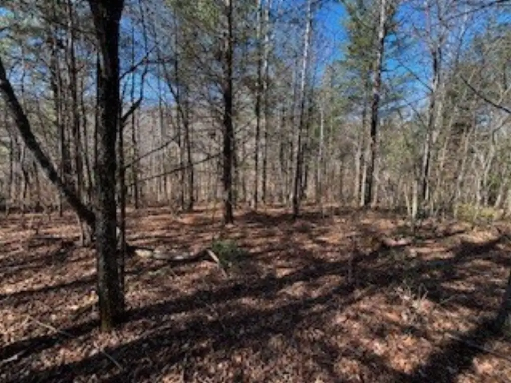Picture 17