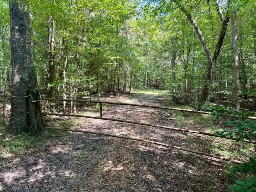 Picture 41
