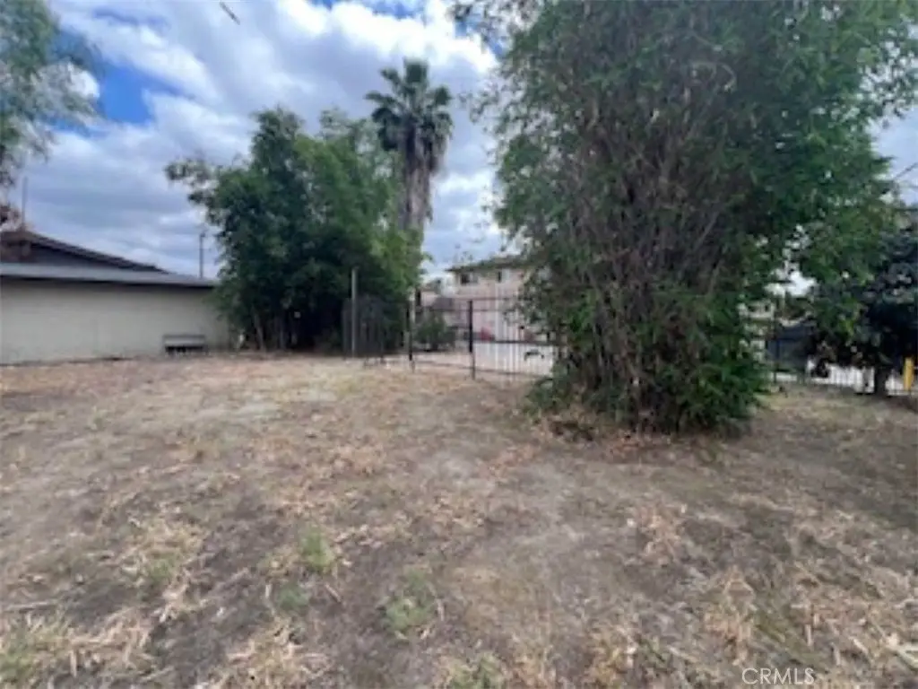 Picture 21