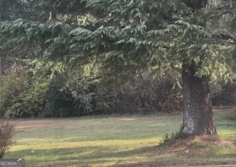 Prime Corner Lot in McDonough