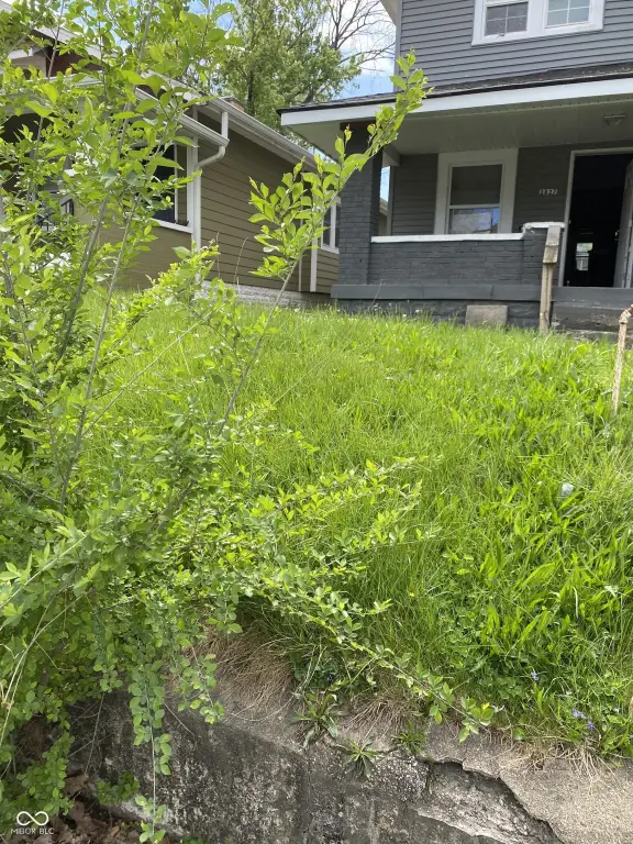 Picture 5