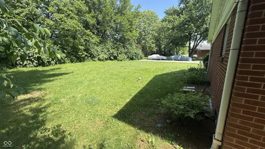 Picture 24
