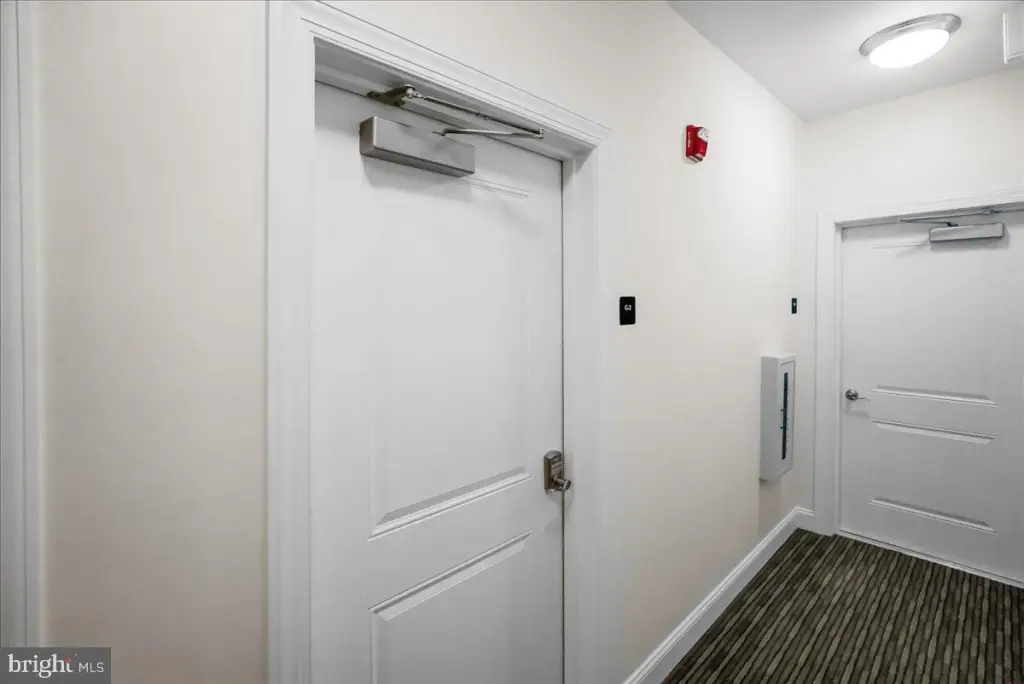 Picture 38