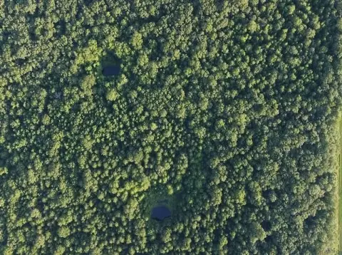 Secluded 47-Acre Wooded Lot