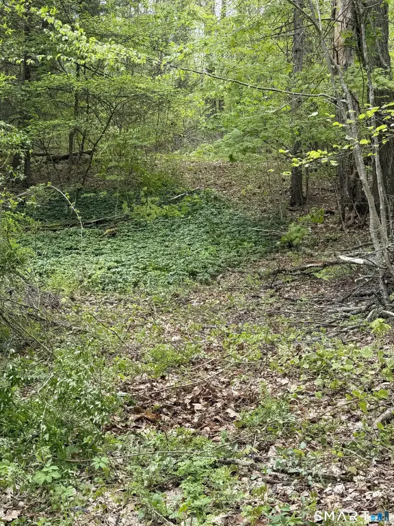 Picture 16