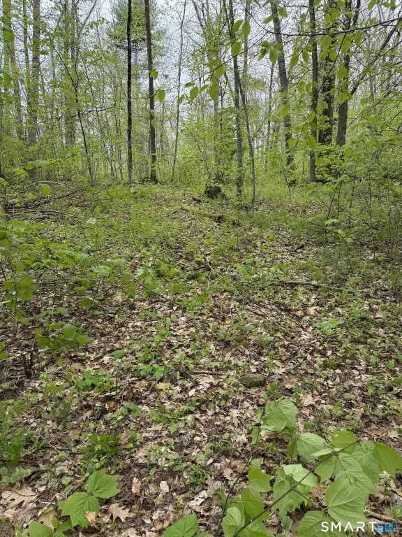 Picture 20
