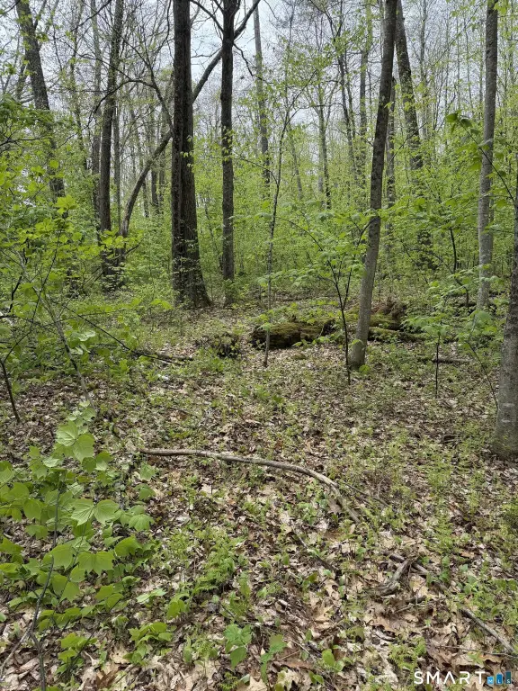 Picture 21