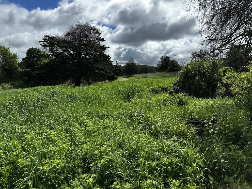 Picture 19