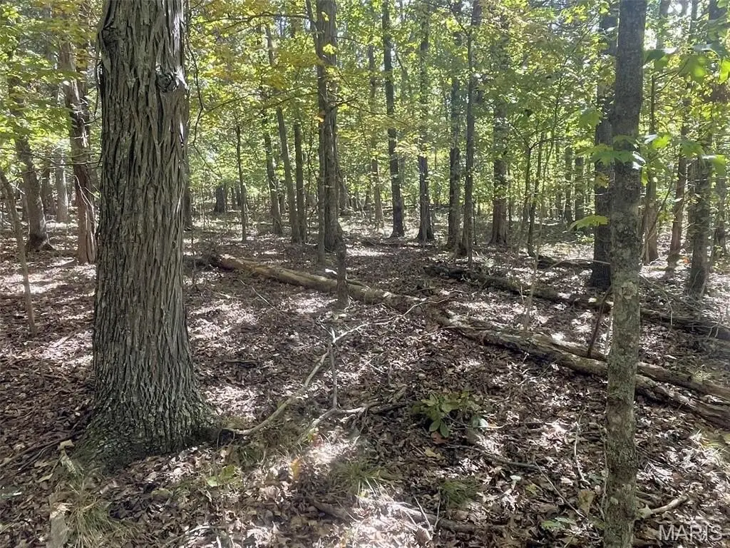 Picture 16