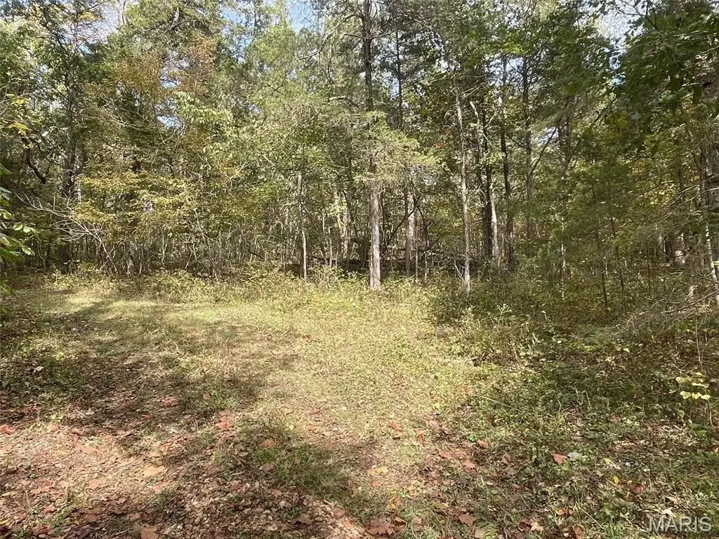 Picture 23