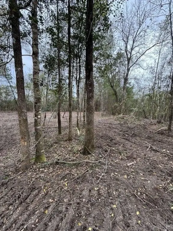Picture 14