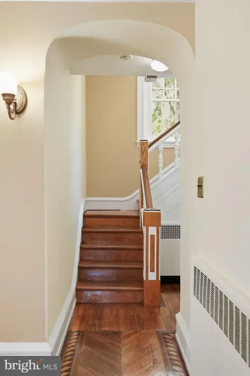 Picture 8