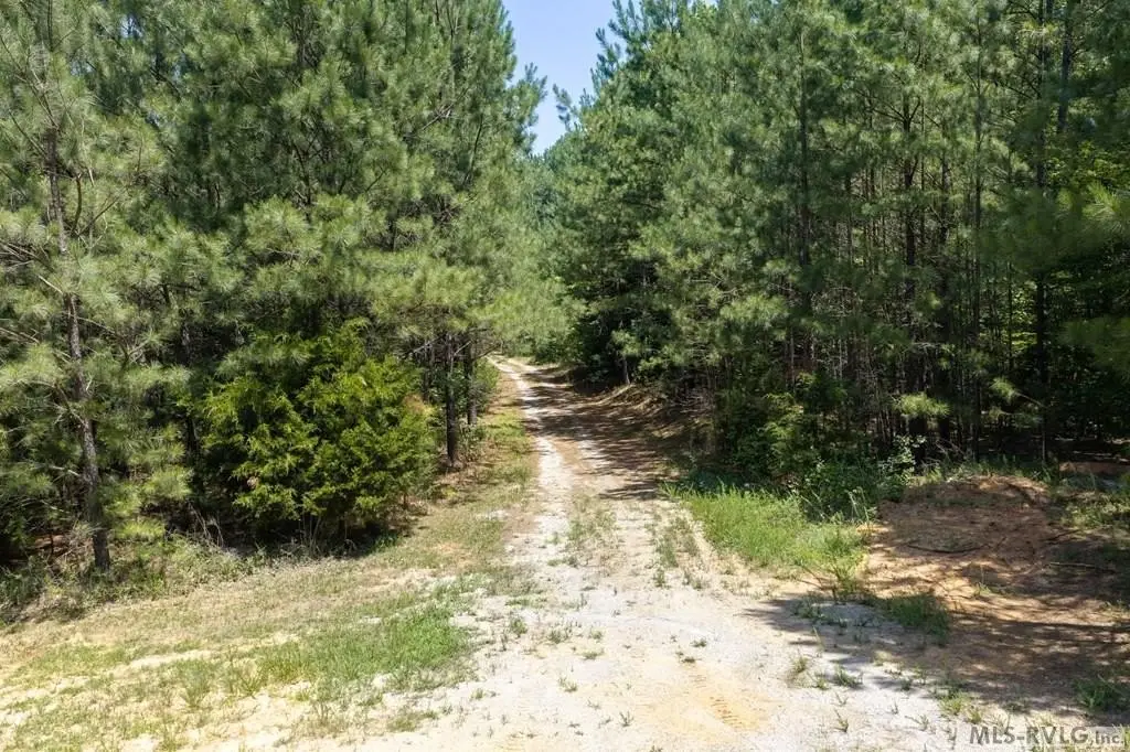 Picture 23
