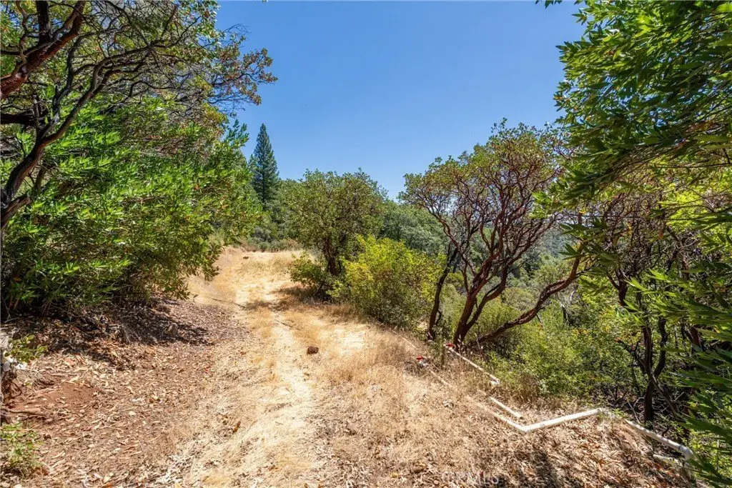 Picture 42