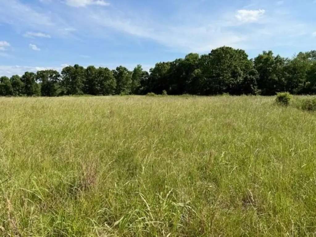 Picture 22