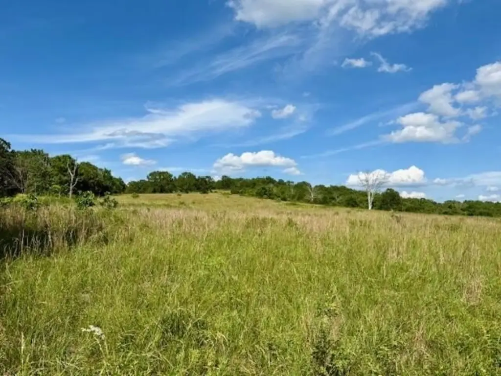 Picture 9