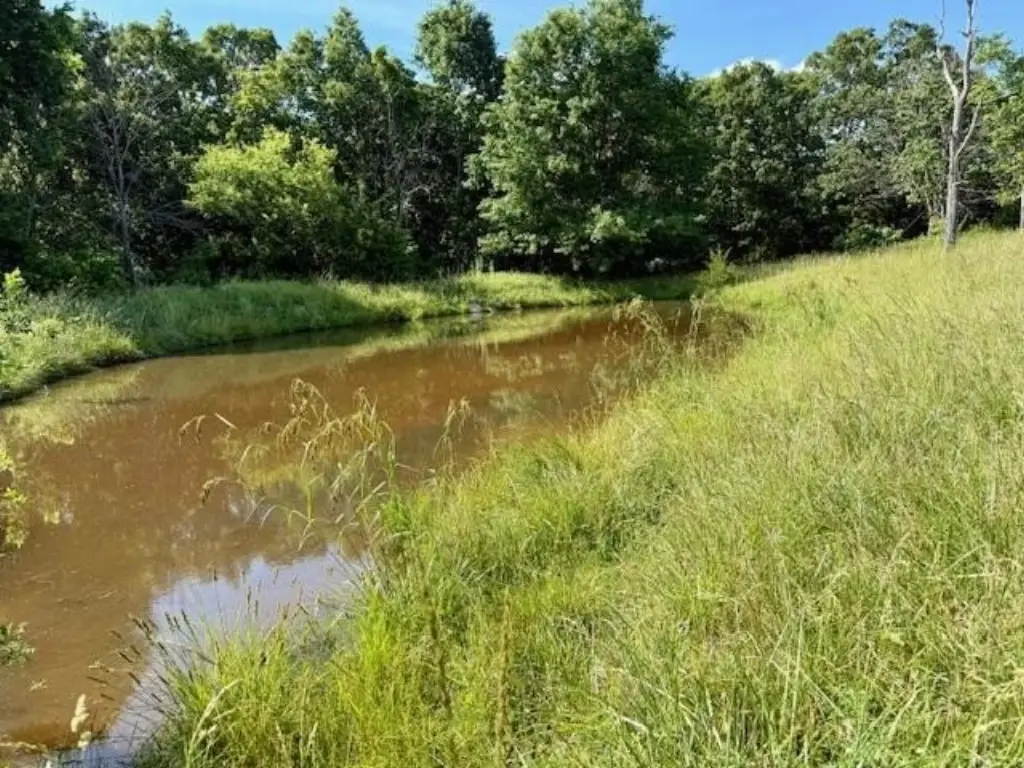Picture 26