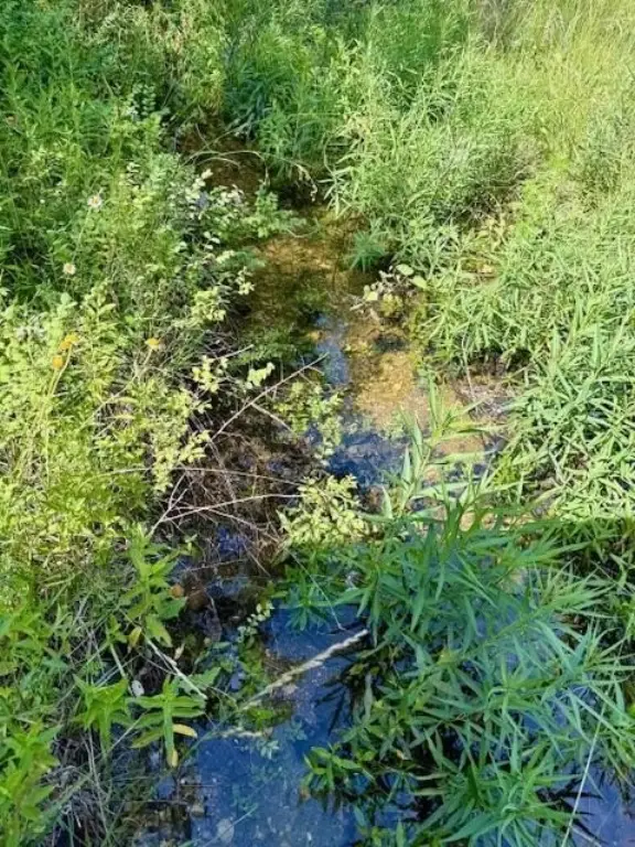 Picture 32