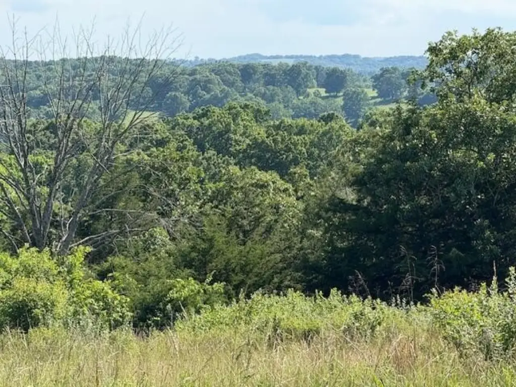 Picture 38