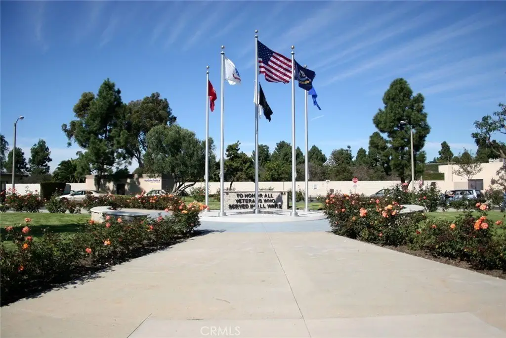 Picture 43