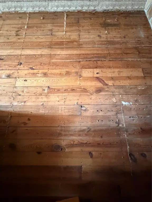 Picture 11