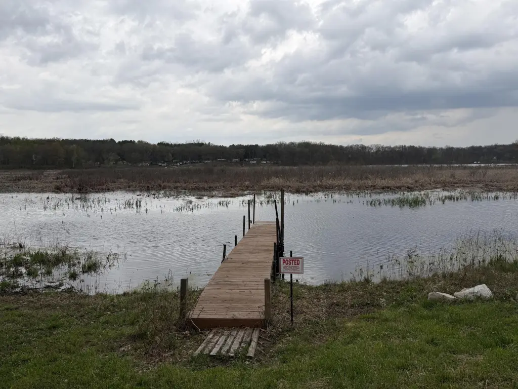Picture 10