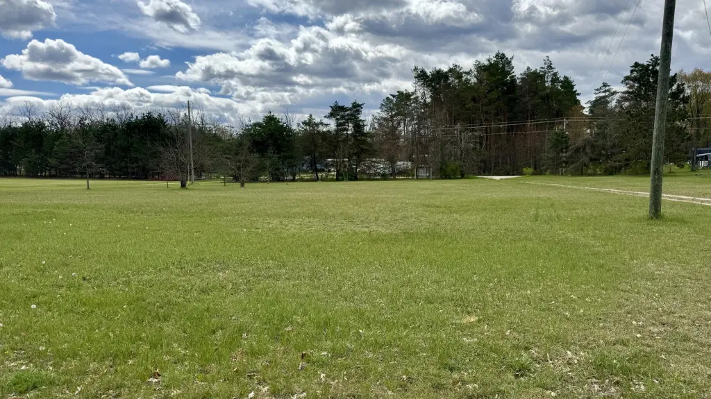 Picture 24