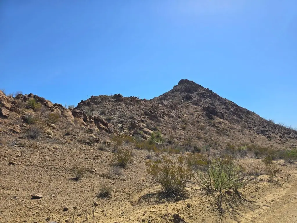 Picture 3