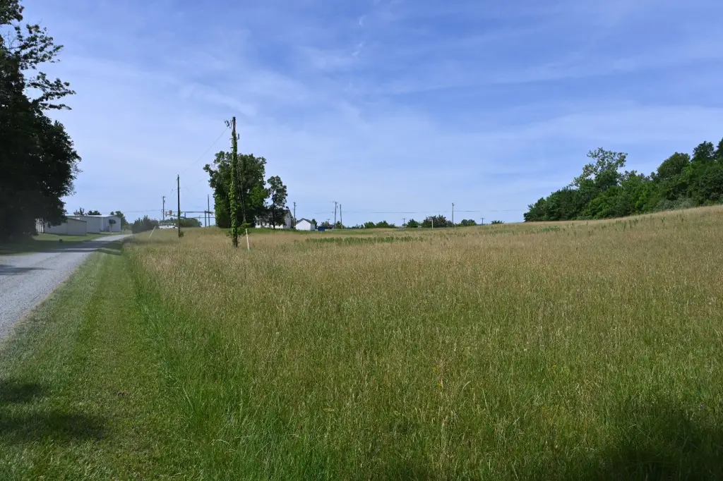 Picture 11