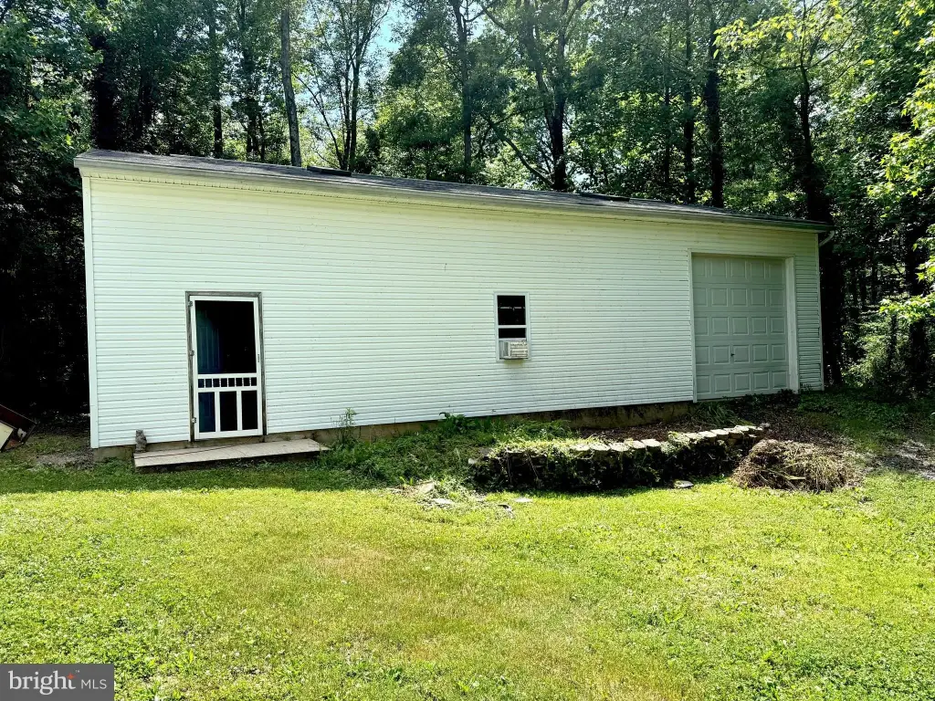 Picture 5