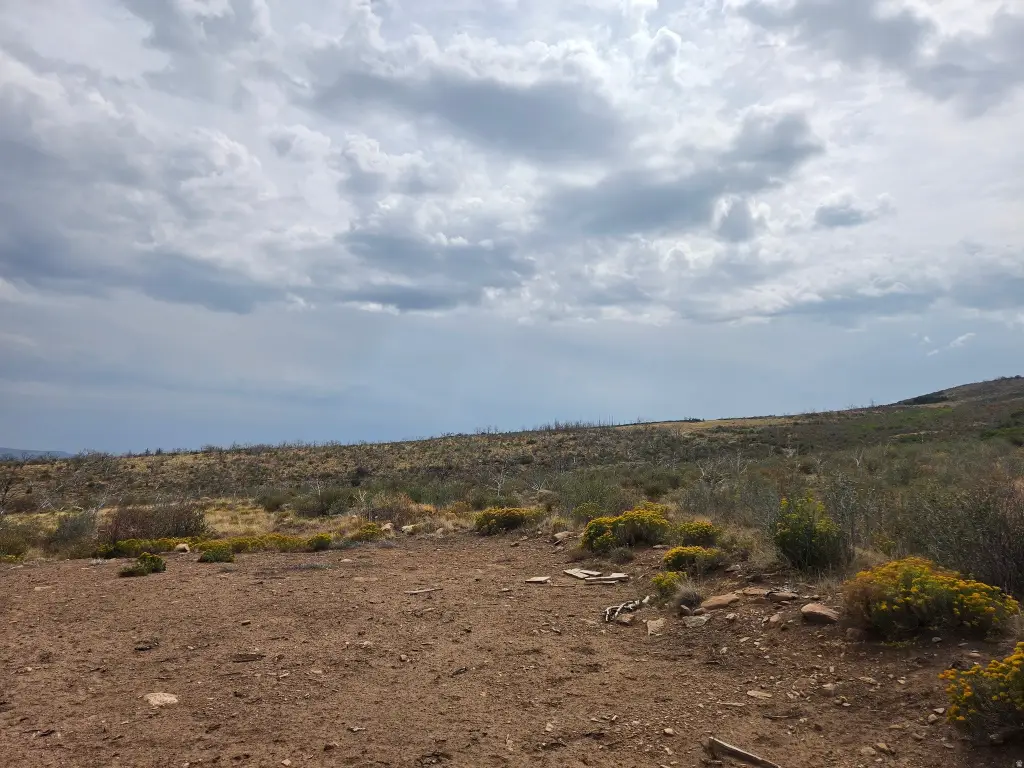 Picture 19