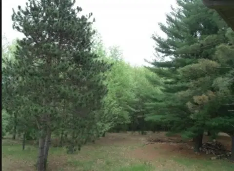 Wooded Lot Near Wolf River
