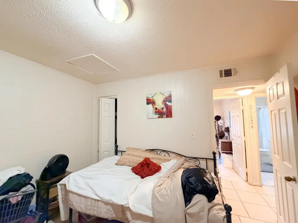 Picture 11