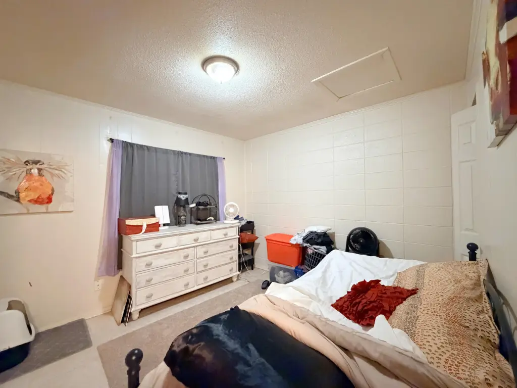 Picture 12