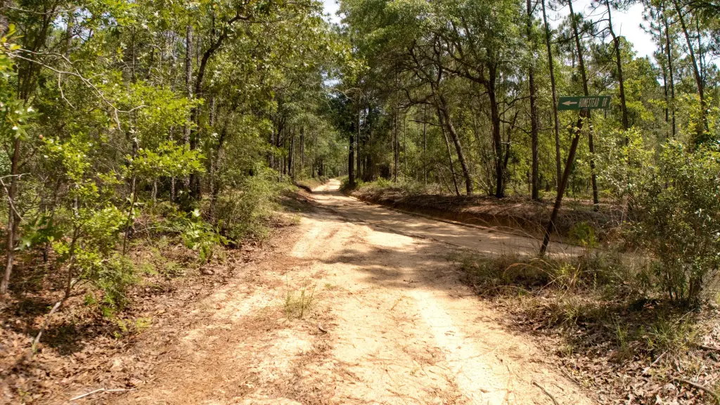Picture 25