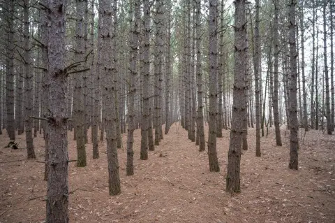 Arkdale Waterfront Land For Sale