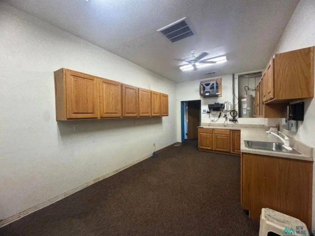 Picture 48