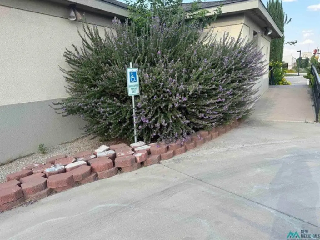 Picture 9