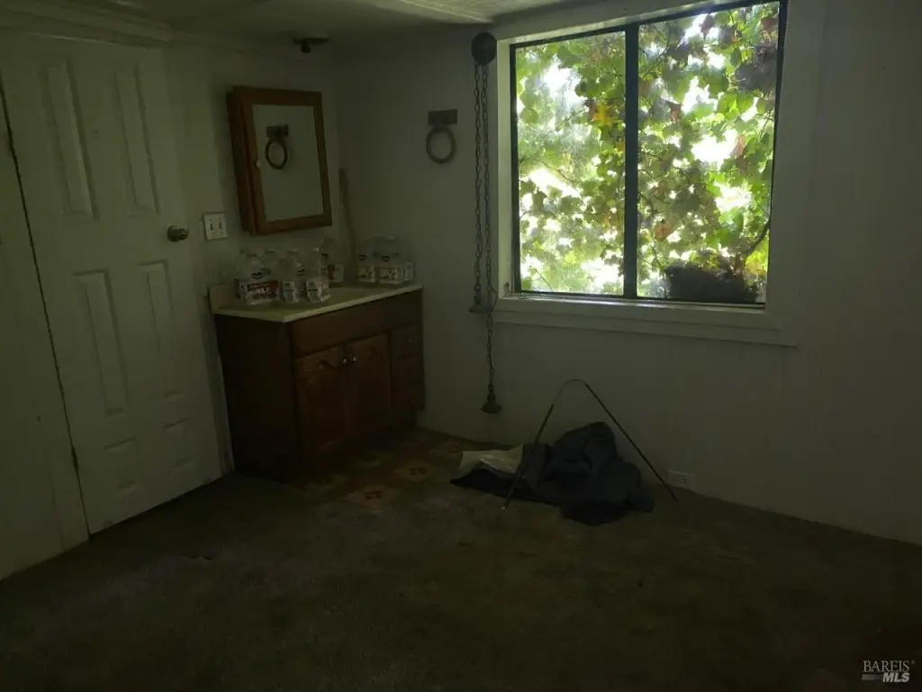 Picture 21