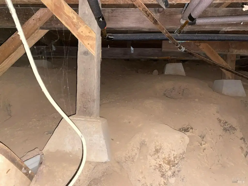 Picture 24