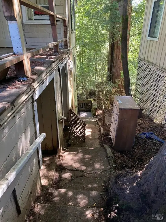 Picture 16