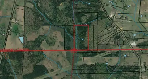 Uniontown, Alabama Wooded Land Parcel