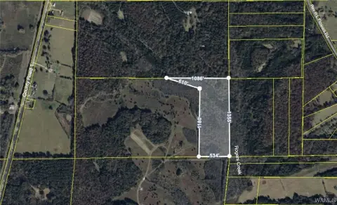 Wooded Land Parcel in Alabama