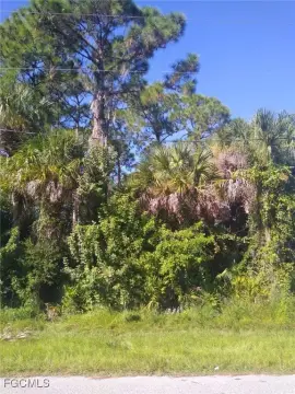 Port Charlotte Land Opportunity