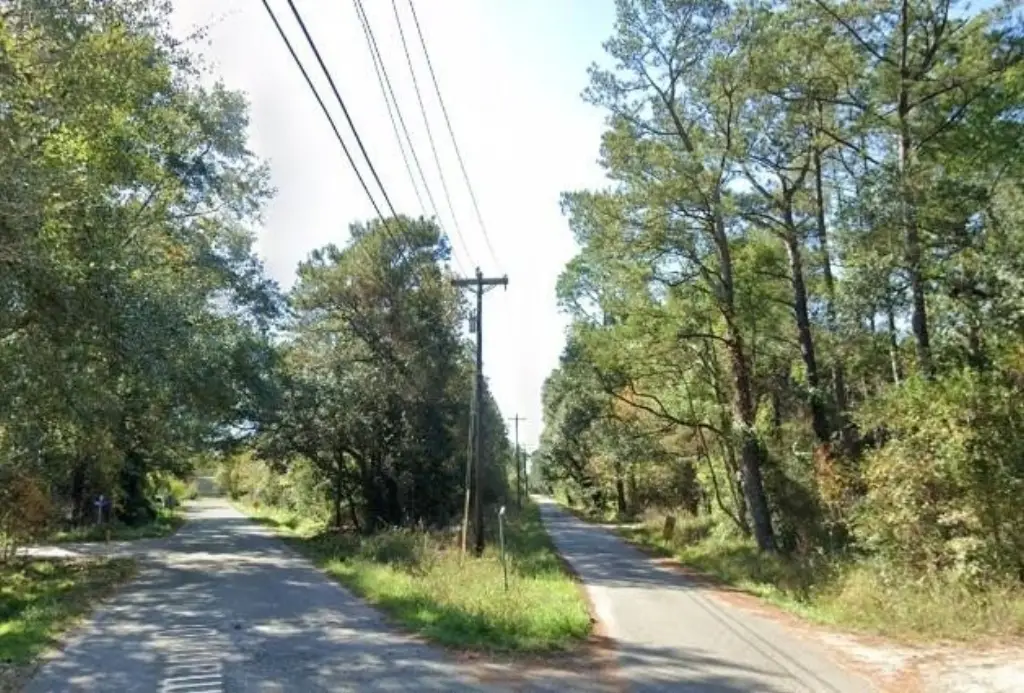 Picture 4